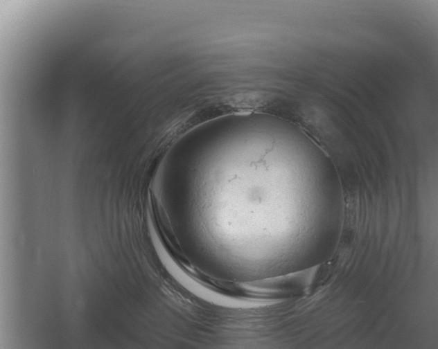 X0000060560237200511101611