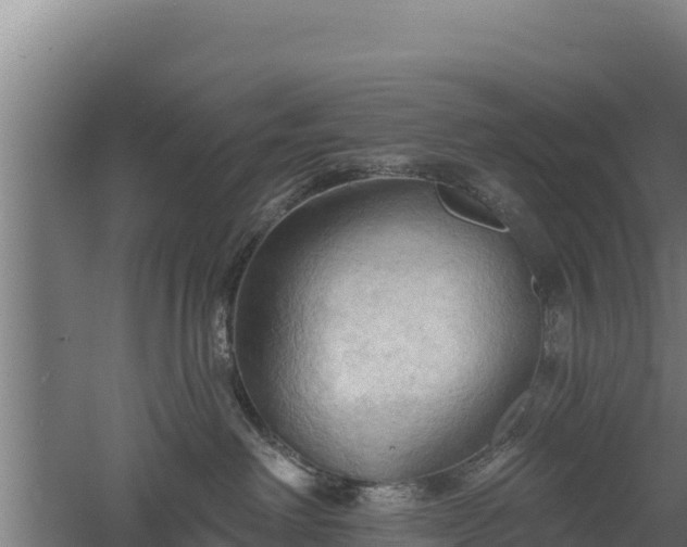 X0000060560238200511101611