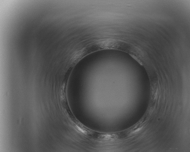 X0000060560239200511101611