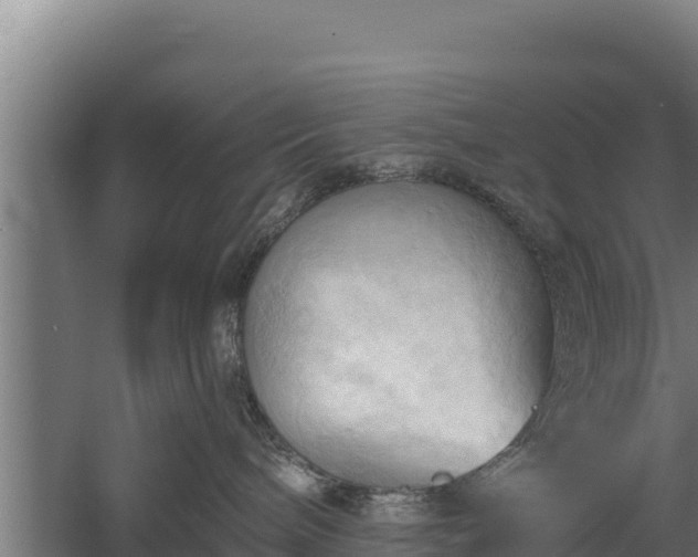 X0000060560240200511101611