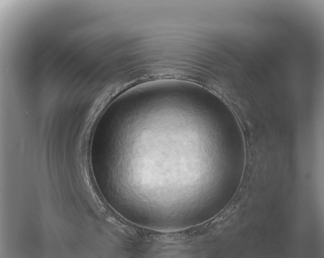 X0000060560241200511101611