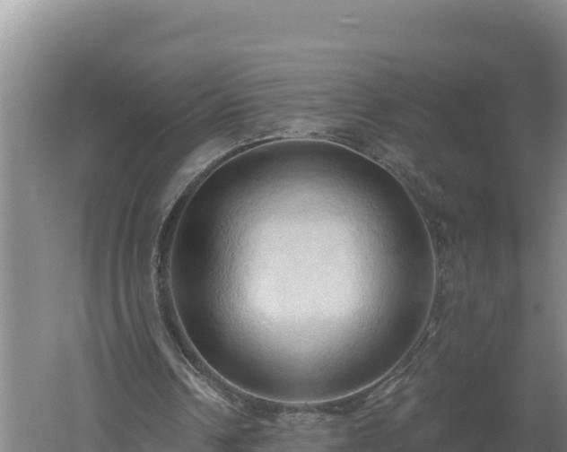 X0000060560242200511101611