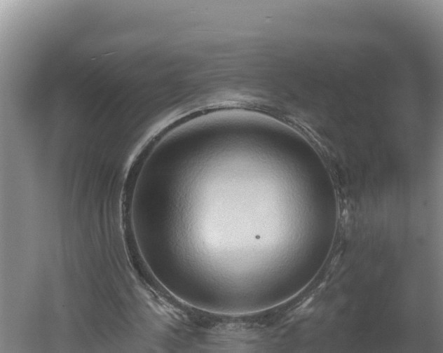 X0000060560244200511101611