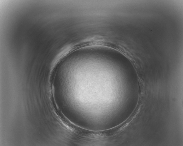 X0000060560245200511101611