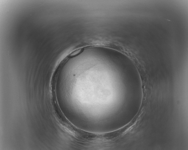 X0000060560246200511101611