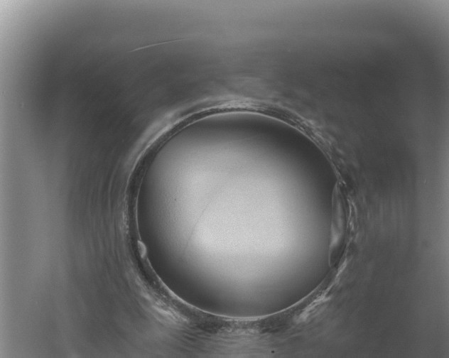 X0000060560247200511101611