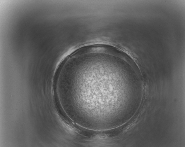 X0000060560248200511101611