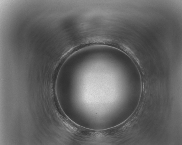 X0000060560249200511101611