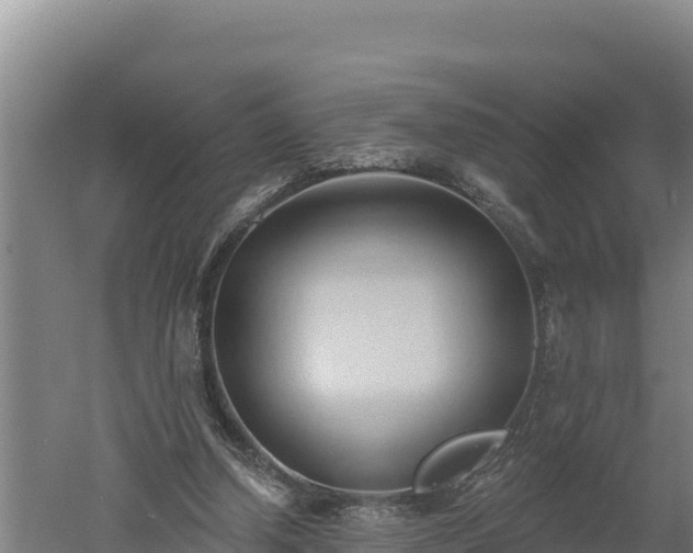 X0000060560250200511101611