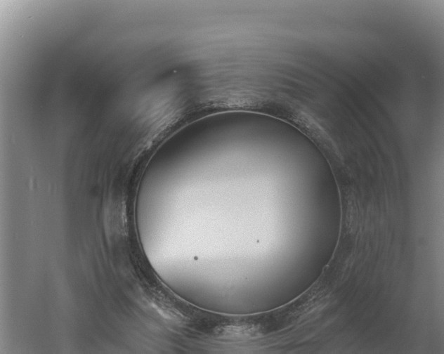 X0000060560251200511101611