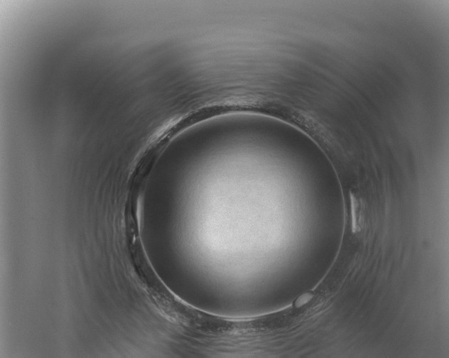 X0000060560252200511101611