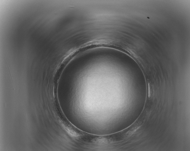 X0000060560253200511101611