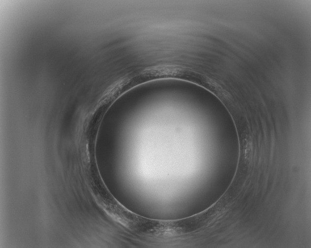 X0000060560254200511101611