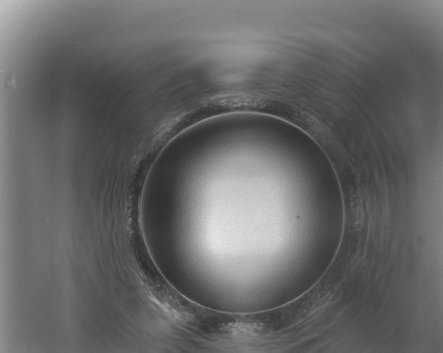 X0000060560255200511101611