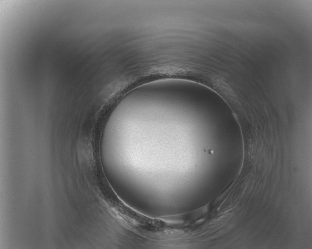 X0000060560256200511101611