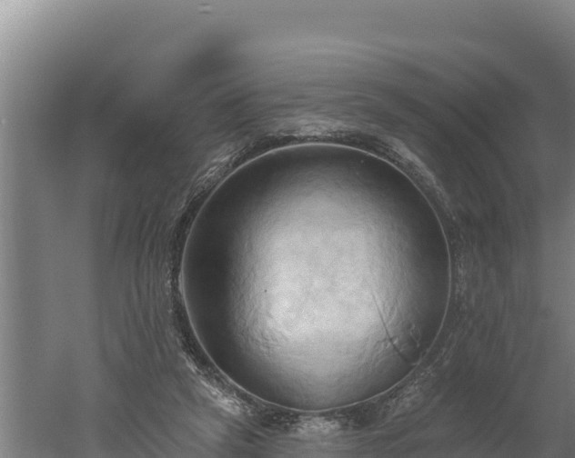 X0000060560257200511101611