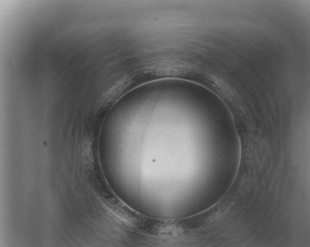 X0000060560258200511101611