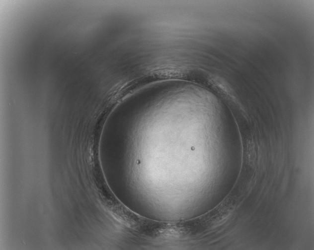 X0000060560259200511101611