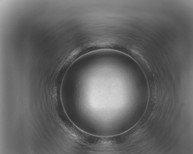 X0000060560260200511101611