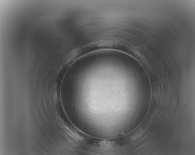 X0000060560261200511101611