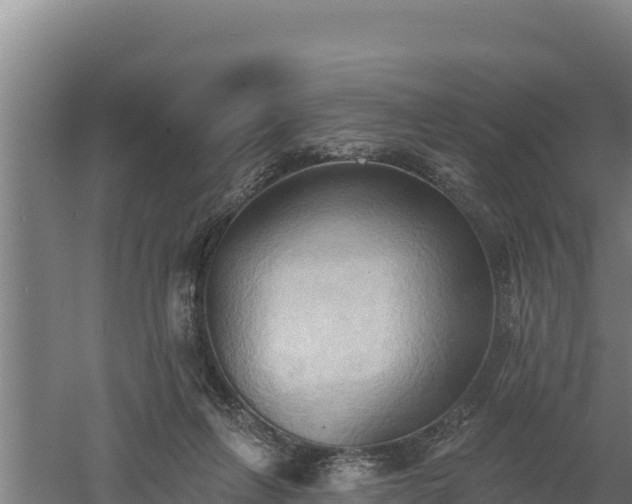 X0000060560263200511101611