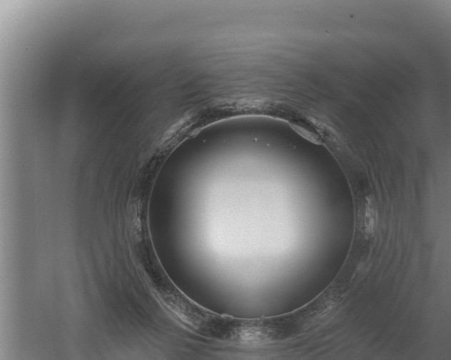 X0000060560264200511101611