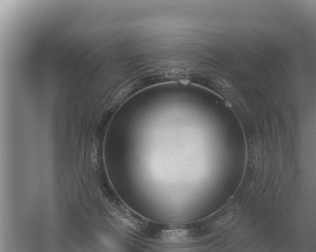 X0000060560266200511101611