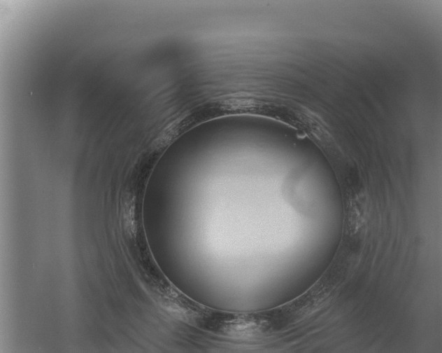 X0000060560267200511101611