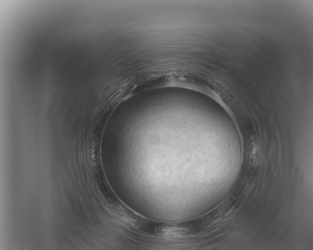 X0000060560268200511101611