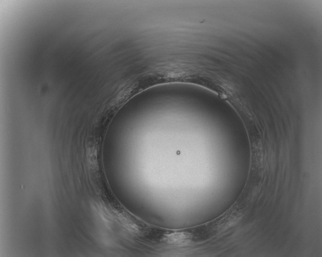 X0000060560269200511101611