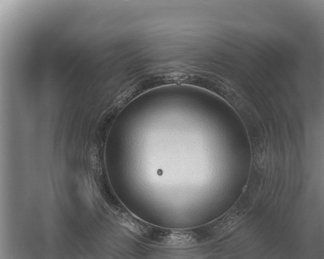 X0000060560270200511101611