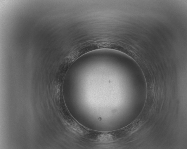 X0000060560271200511101611