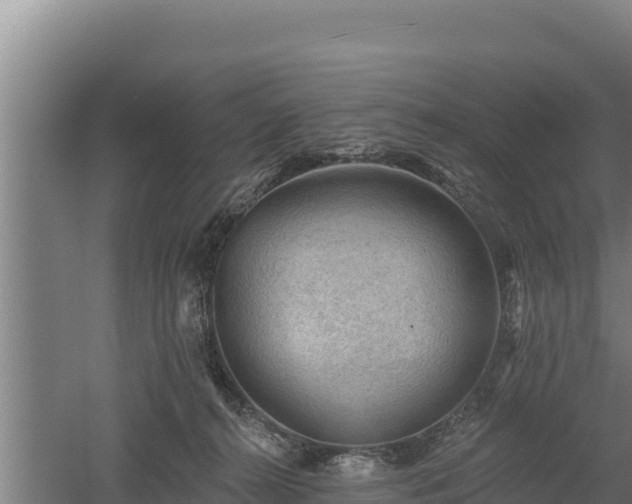 X0000060560272200511101611