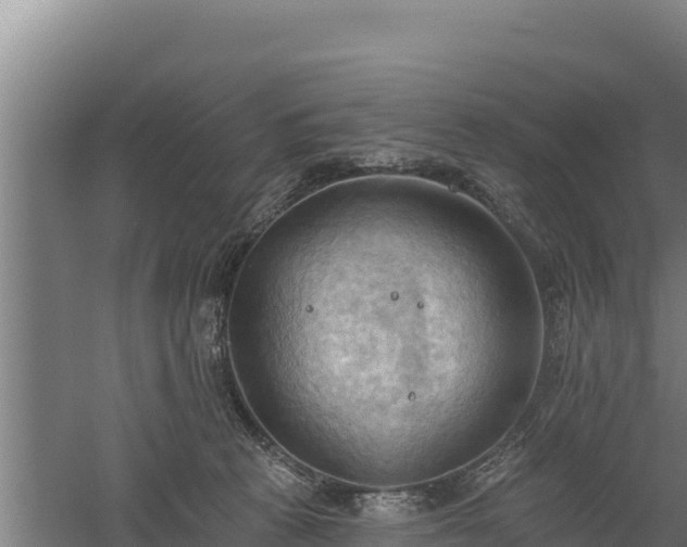 X0000060560273200511101611