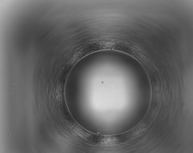 X0000060560274200511101611