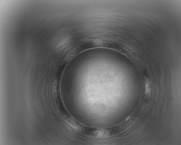 X0000060560275200511101611