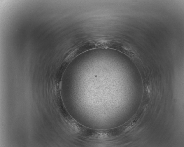 X0000060560276200511101611