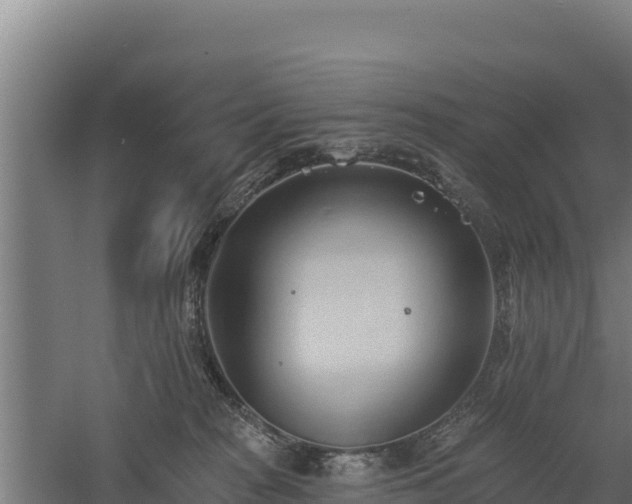 X0000060560277200511101611