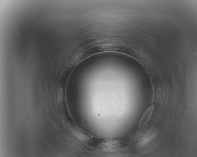 X0000060560278200511101611