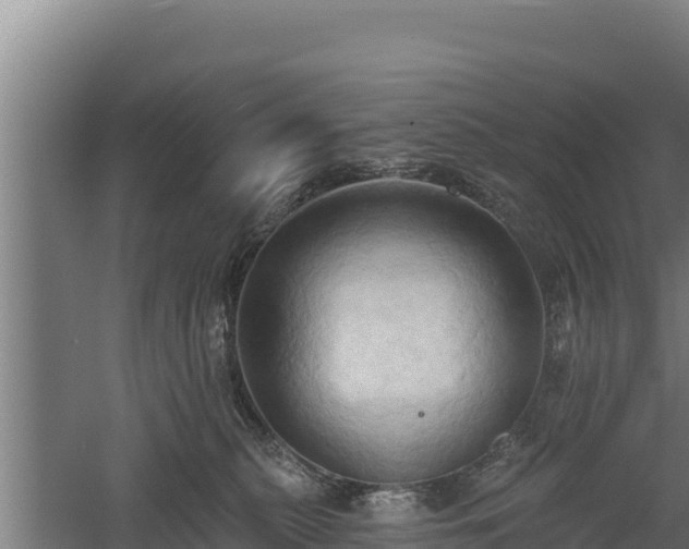 X0000060560279200511101611