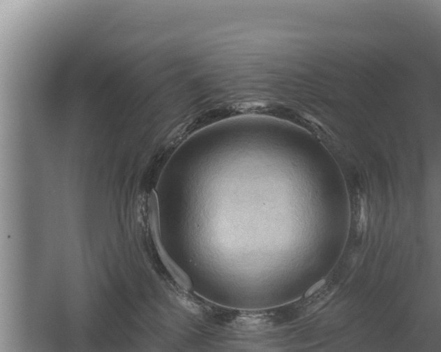 X0000060560280200511101611