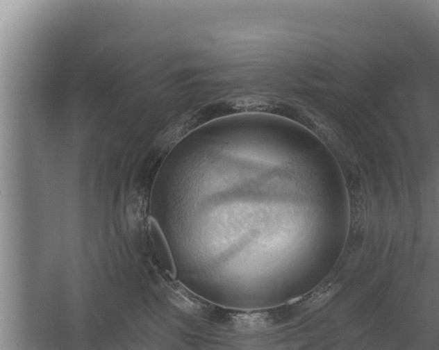 X0000060560281200511101611