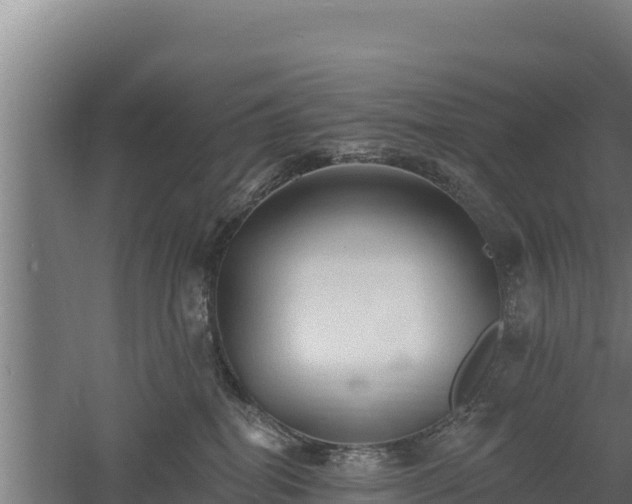 X0000060560282200511101611