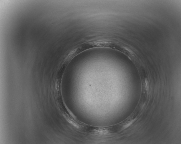 X0000060560284200511101611