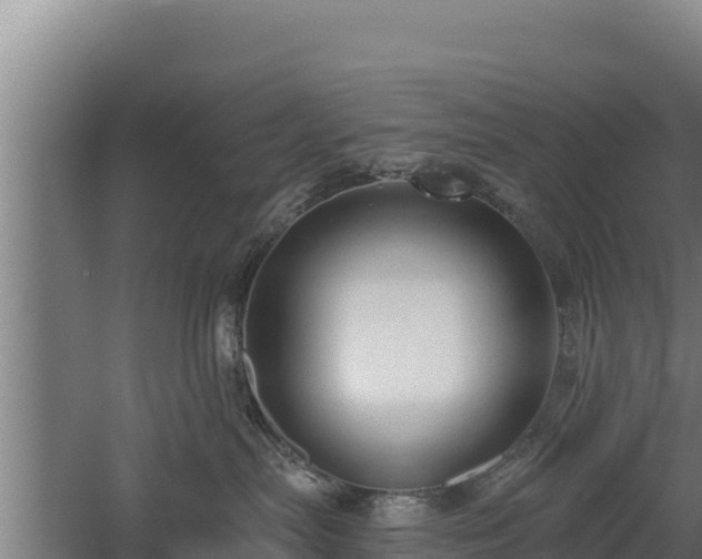 X0000060560287200511101611