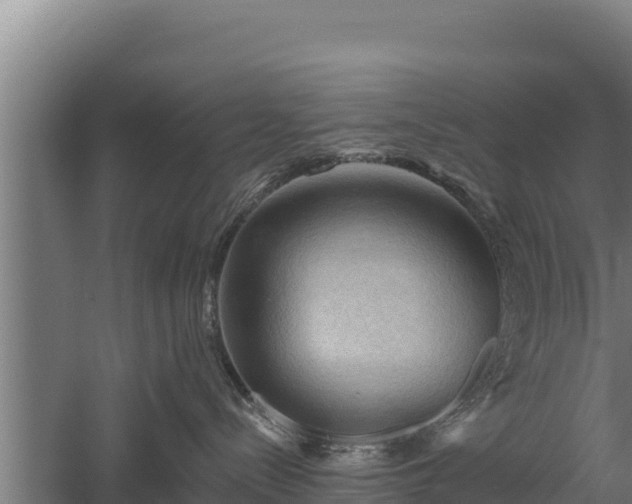 X0000060560288200511101611