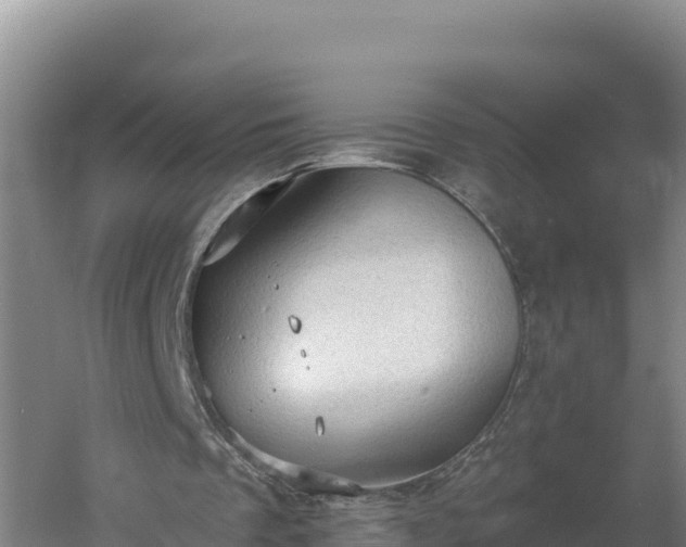 X0000060560289200511101611