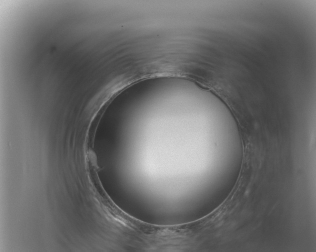 X0000060560290200511101611