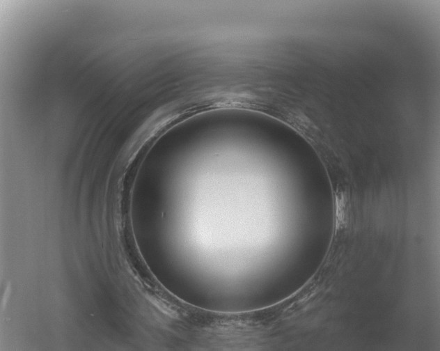 X0000060560291200511101611