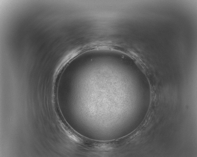 X0000060560293200511101610